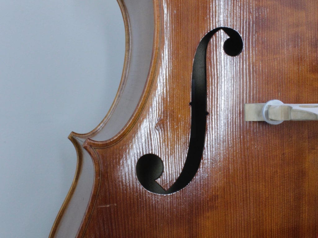 Bass 5