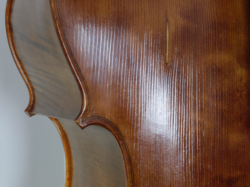Bass 6