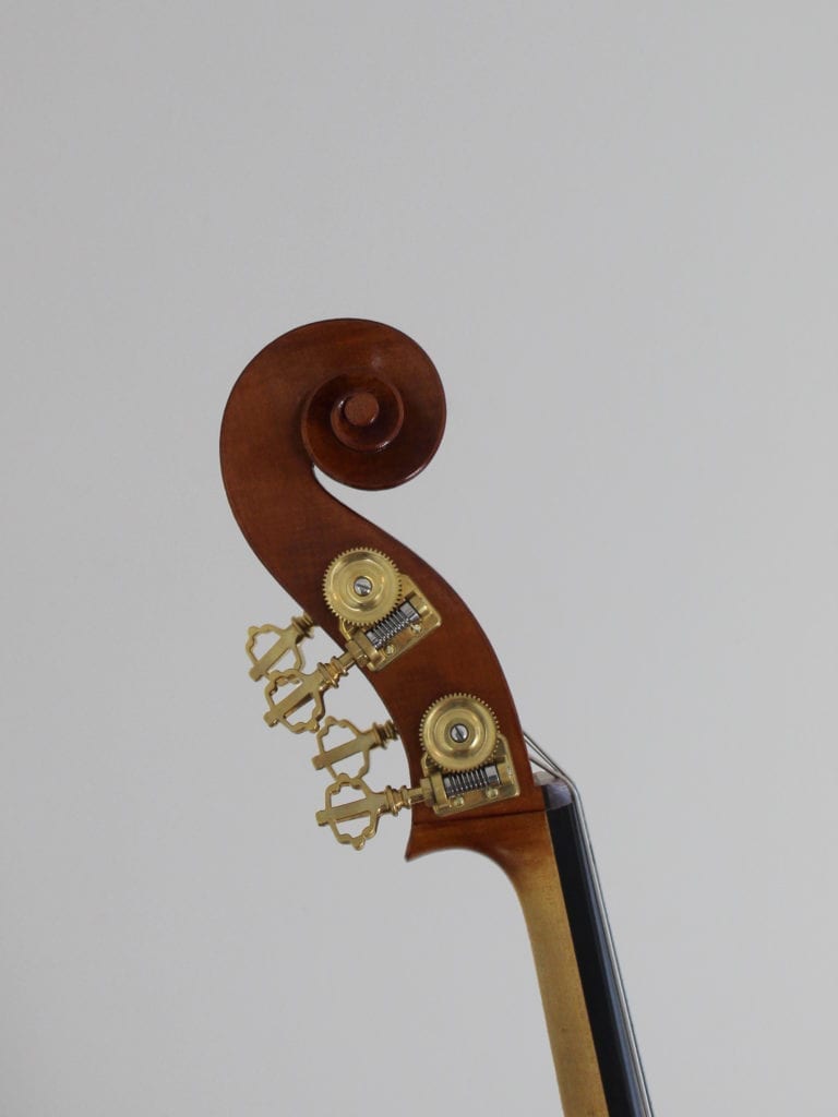 Bass 8