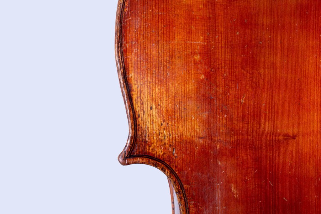 CloseUp_244A1813 Kopie