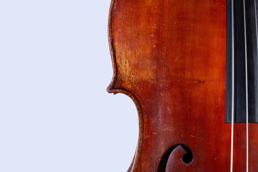 CloseUp_244A1814 Kopie